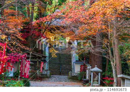 静岡県袋井市村松 油山寺と境内の風景 静岡県袋井市村松 油山寺と境内の風景 114691673