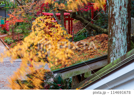 静岡県袋井市村松　油山寺と境内の風景 114691678