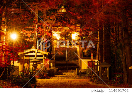 静岡県袋井市村松 油山寺と境内の風景 静岡県袋井市村松 油山寺と境内の風景 114691702