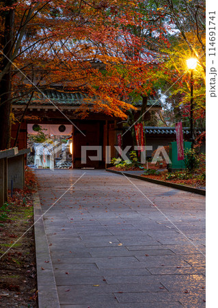 静岡県袋井市村松 油山寺と境内の風景 静岡県袋井市村松 油山寺と境内の風景 114691741