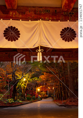 静岡県袋井市村松　油山寺と境内の風景 114691747