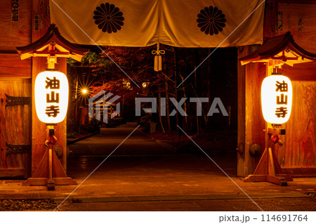 静岡県袋井市村松 油山寺と境内の風景 静岡県袋井市村松 油山寺と境内の風景 114691764