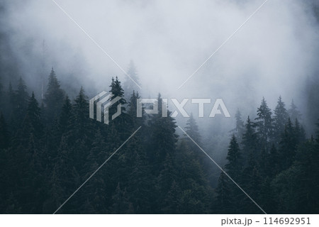 Misty mountain landscape Misty mountain landscape 114692951