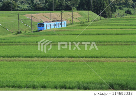 夏の列車 114693338