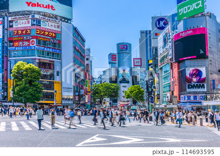日本の東京都市景観 5月、渋谷スクランブル交差点や渋谷109などを望む。危険運転自転車も＝17日 114693595