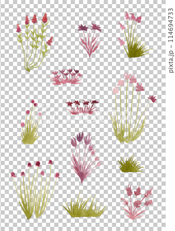 Wildflowers and grass. Watercolor plants, great design for any purpose. Decorative botanical set. Abstract floral silhouettes. Summer nature clipart. Simple sketch drawing 114694733