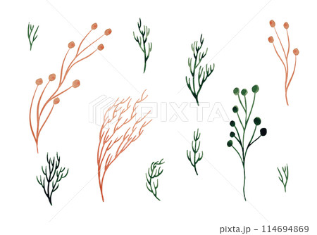 Herbaceous plant. Watercolor twigs, great design for any purpose. Decorative botanical set. Abstract silhouettes of branches. Summer nature clipart. Simple sketch drawing Herbaceous plant. Watercolor twigs, great design for any purpose. Decorative botanical set. Abstract silhouettes of branches. Summer nature clipart. Simple sketch drawing 114694869
