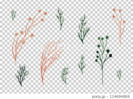 Herbaceous plant. Watercolor twigs, great design for any purpose. Decorative botanical set. Abstract silhouettes of branches. Summer nature clipart. Simple sketch drawing Herbaceous plant. Watercolor twigs, great design for any purpose. Decorative botanical set. Abstract silhouettes of branches. Summer nature clipart. Simple sketch drawing 114694869