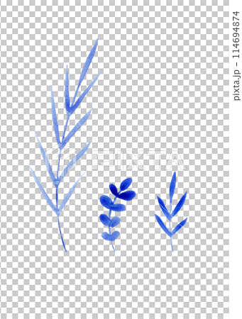 Herbaceous plant. Watercolor twigs, great design for any purpose. Decorative botanical set. Abstract silhouettes of branches. Summer nature clipart. Simple sketch drawing 114694874