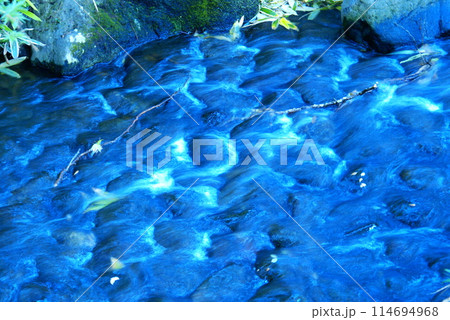 カラー　流れ　川　透明　透過　（2024年4月登録） 114694968