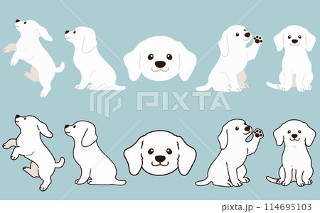 シンプルで可愛い白い犬のイラストセット　主線あり・なし 114695103