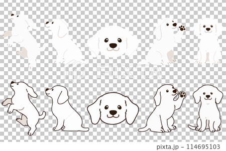 シンプルで可愛い白い犬のイラストセット　主線あり・なし 114695103
