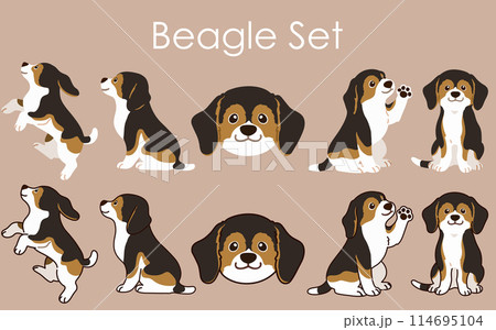 シンプルで可愛いセーブル色のビーグルのイラストセット　主線あり・なし 114695104