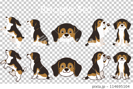 シンプルで可愛いセーブル色のビーグルのイラストセット　主線あり・なし 114695104