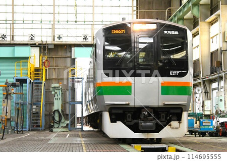 車両基地に停車するE217系電車(東海道線表示) 車両基地に停車するE217系電車(東海道線表示) 114695555