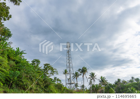 Wireless data station In the rainforest . Cell tower. High speed internet 5g Wireless data station In the rainforest . Cell tower. High speed internet 5g 114695665