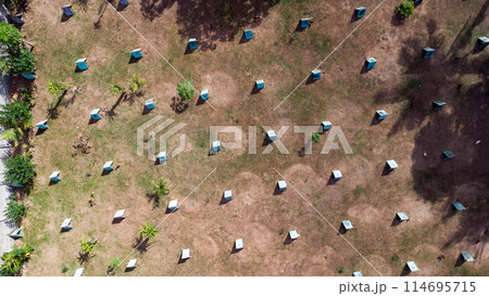 Aerial view of a rooster farm with small houses for the roosters. Home chicken farm in Asia 114695715