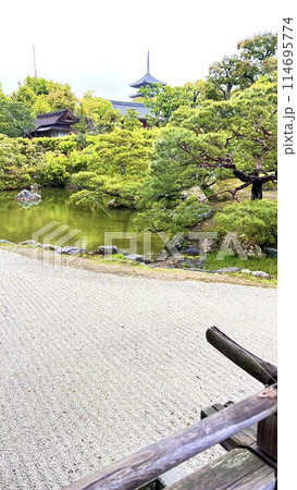 【京都府】新緑の北庭と五重塔（仁和寺） 114695774