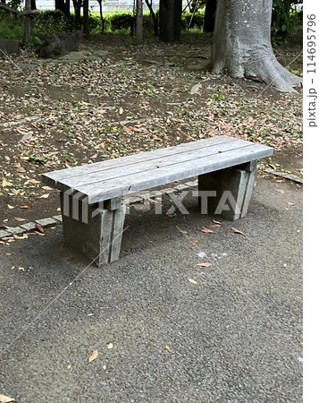 ベンチ 114695796