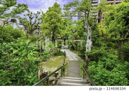 生國魂神社　境内　大阪府大阪市 114696104