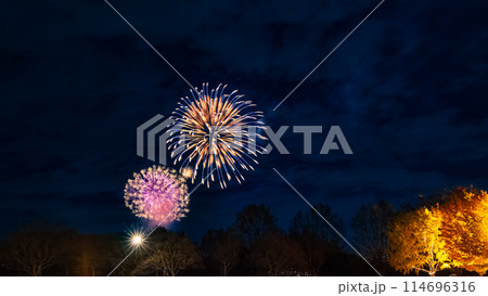 花火とライトアップの紅葉のイチョウの木 東京都 花火とライトアップの紅葉のイチョウの木 東京都 114696316