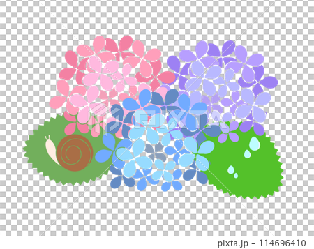 Illustration material: Hydrangea and snail 114696410