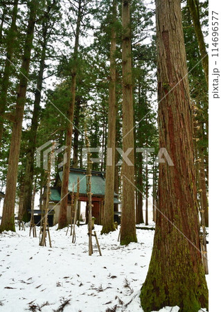 雲洞庵（新潟県） 114696577