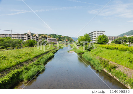 初夏の山科川 初夏の山科川 114696886