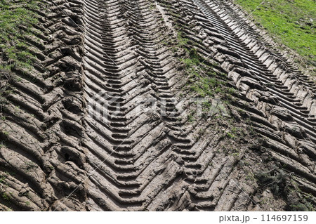 The dirt road is full of tire tracks 114697159