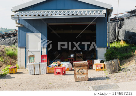宇治の茶摘みと小屋 宇治の茶摘みと小屋 114697212