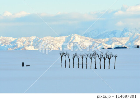 池ケ原のはさ木と越後三山（新潟県） 114697801