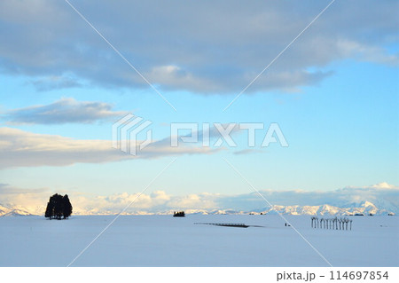 池ケ原の雪景色（新潟県） 114697854