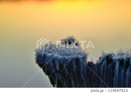 朝の福島潟（新潟県） 114697928