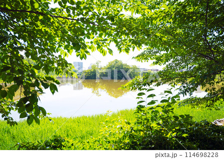 住吉区の万代池公園 住吉区の万代池公園 114698228