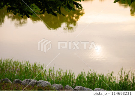住吉区の万代池公園 住吉区の万代池公園 114698231