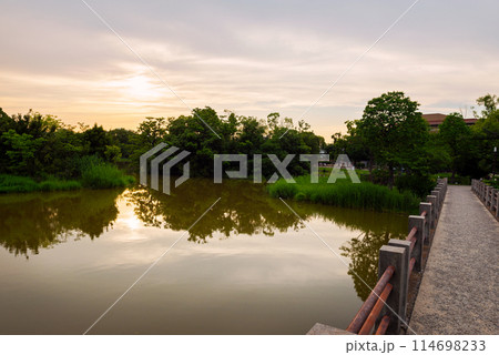 住吉区の万代池公園 114698233