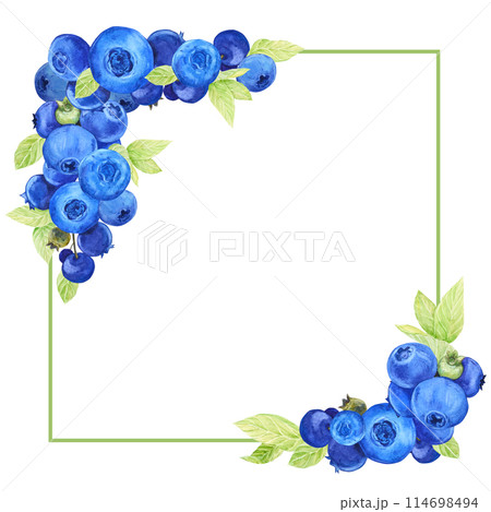 Blueberry frame. Hand drawn watercolor. Frame of ripe juicy summer berries. Clipart for packaging design of farm, natural, vegetarian products. Illustration for jam packaging. Blueberry frame. Hand drawn watercolor. Frame of ripe juicy summer berries. Clipart for packaging design of farm, natural, vegetarian products. Illustration for jam packaging. 114698494