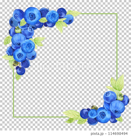 Blueberry frame. Hand drawn watercolor. Frame of ripe juicy summer berries. Clipart for packaging design of farm, natural, vegetarian products. Illustration for jam packaging. Blueberry frame. Hand drawn watercolor. Frame of ripe juicy summer berries. Clipart for packaging design of farm, natural, vegetarian products. Illustration for jam packaging. 114698494