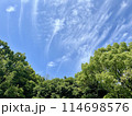 青空と雲と樹木の風景　 114698576