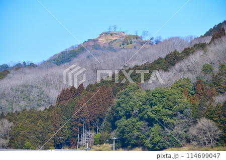 播磨国「長谷高山城」の「利神城」への眺望と曲輪 播磨国「長谷高山城」の「利神城」への眺望と曲輪 114699047