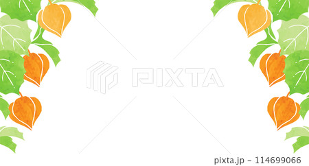 ほおずきのフレーム 114699066