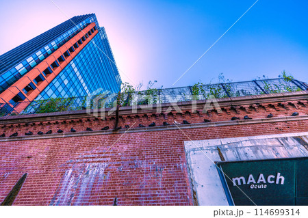 日本の東京都市景観 マーチエキュートやズラリと“鎮座”するハトなどを望む=5月17日 日本の東京都市景観 マーチエキュートやズラリと“鎮座”するハトなどを望む=5月17日 114699314