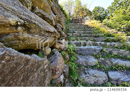 浜松市 遠江「二俣城」の石垣と曲輪 浜松市 遠江「二俣城」の石垣と曲輪 114699356