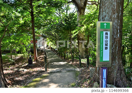 浜松市 遠江「二俣城」の石垣と曲輪 浜松市 遠江「二俣城」の石垣と曲輪 114699366