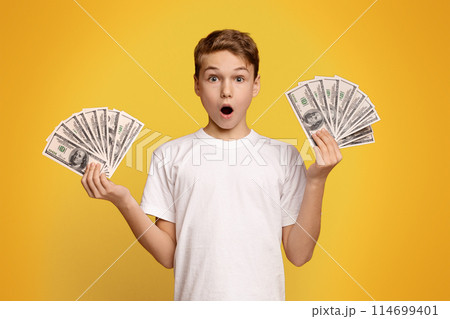 Finance, investment and money saving. Excited boy man holding lots of dollars, orange studio background 114699401