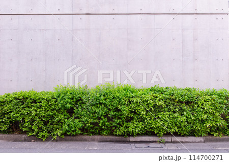 street wall background ,Industrial background, empty grunge urban street with warehouse brick wall 114700271