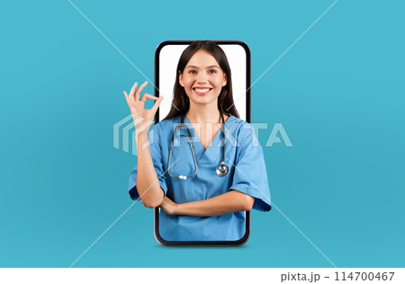 A tech-savvy woman doctor is set up for giving virtual medical advice, shown within the digital bounds of a smartphone screen. A tech-savvy woman doctor is set up for giving virtual medical advice, shown within the digital bounds of a smartphone screen. 114700467