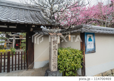 松風天満宮 梅　春 114700469