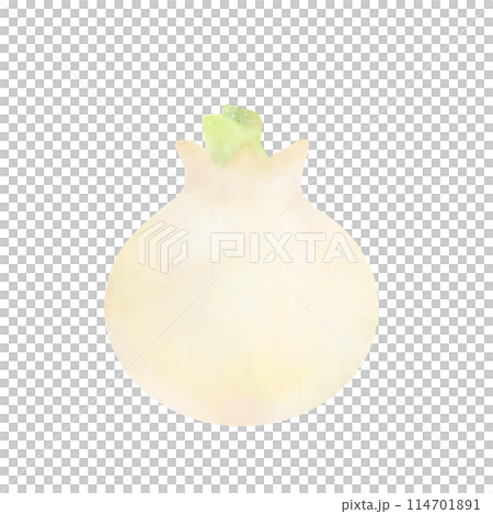 Cute white onion illustration Cute white onion illustration 114701891