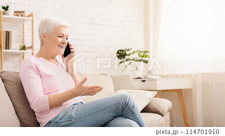 Active retirement. Cheerful senior woman talking with client oh phone, working from home, empty space Active retirement. Cheerful senior woman talking with client oh phone, working from home, empty space 114701910